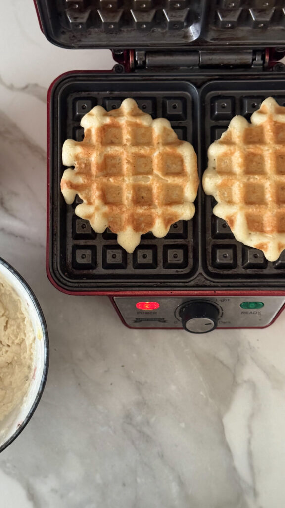 gluten-free sourdough waffle recipe