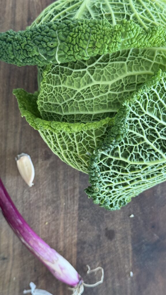 pasta with cabbage recipe