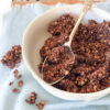 grain-free high protein granola no oats